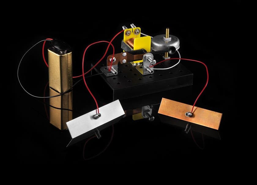 Alga, 101 Experiment