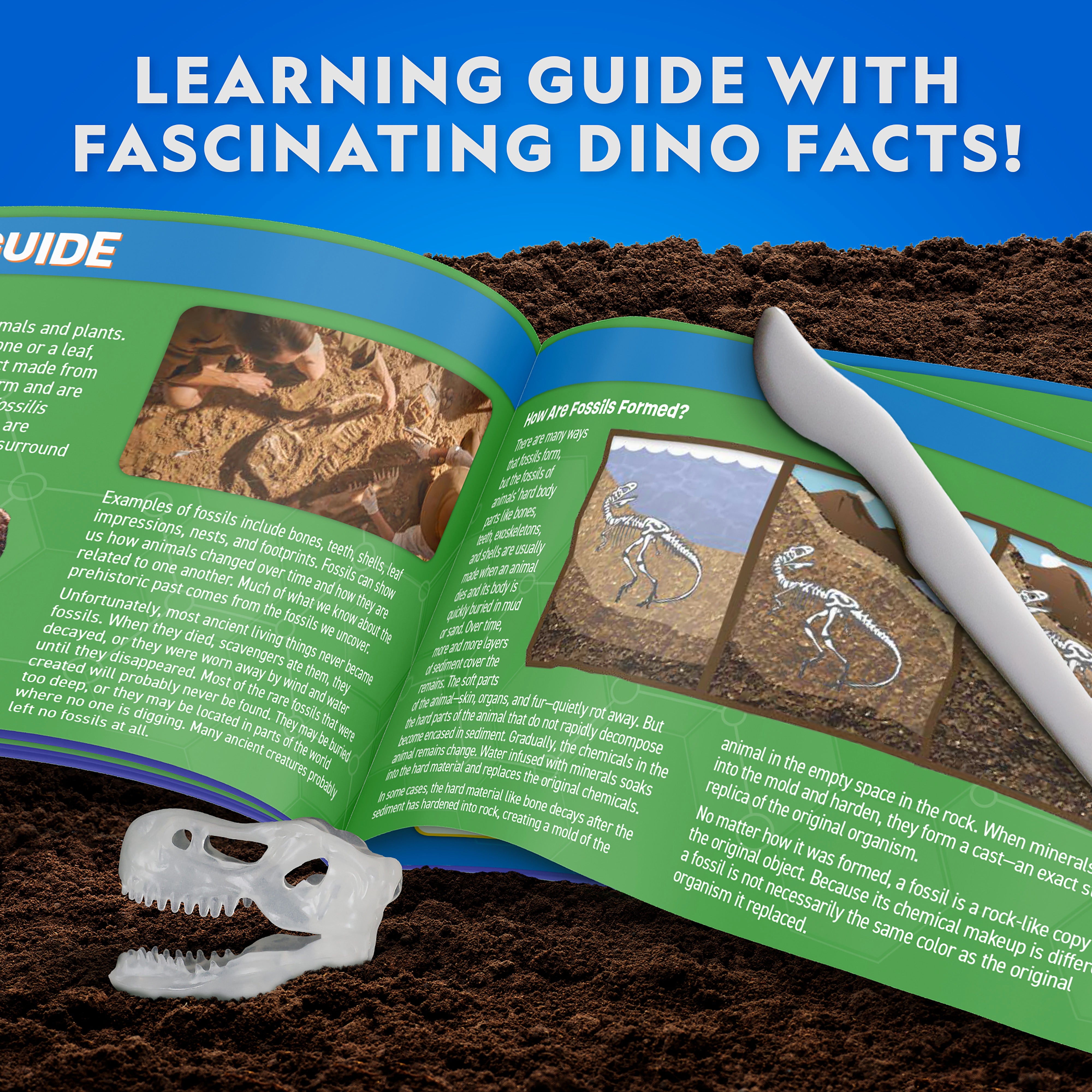 National Geographic Glow-In-The-Dark T. Rex