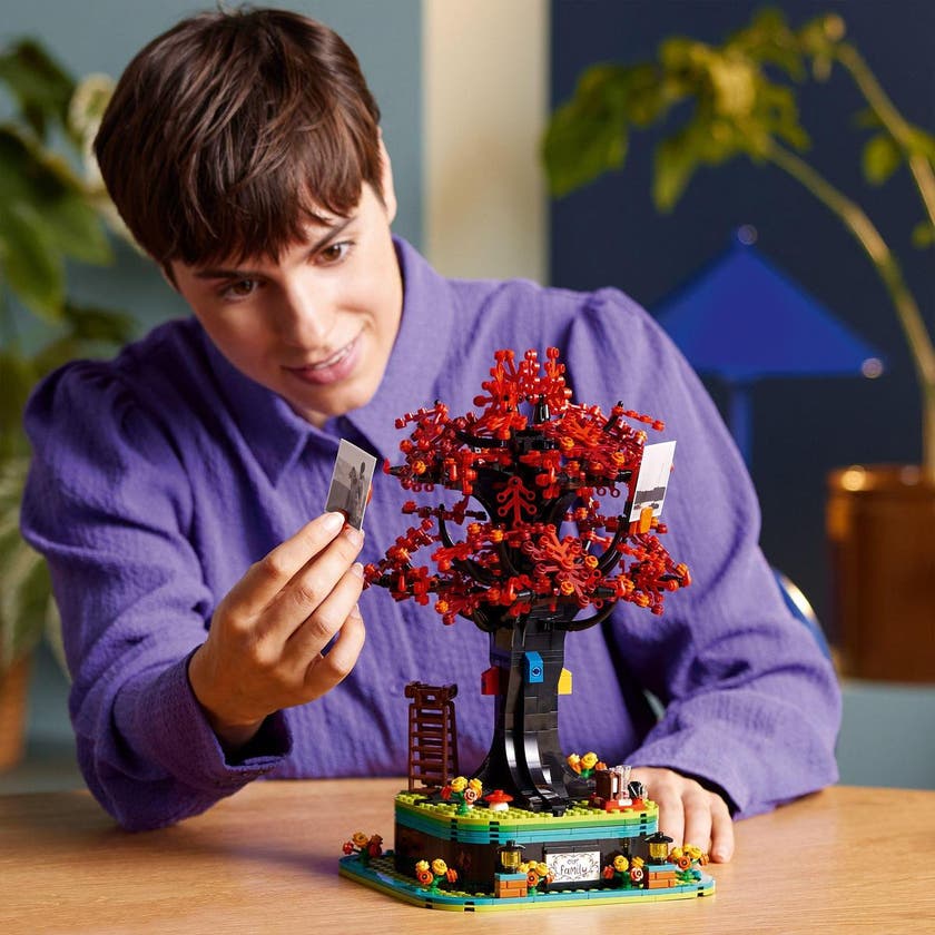 LEGO 21346, Familjeträd