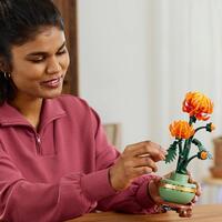LEGO Botanicals 10368, Krysantemum