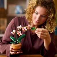 LEGO Botanicals 10343, Miniorkidé