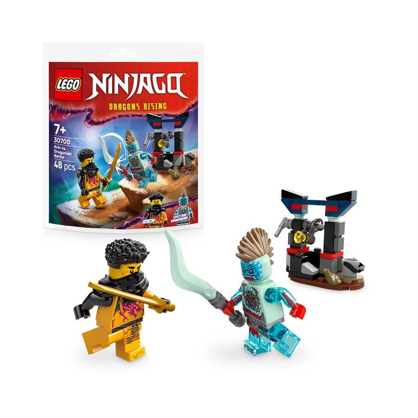 LEGO Ninjago 30700, Arins strid mot dragonier