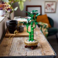 LEGO Botanicals 10344, Bambudracena