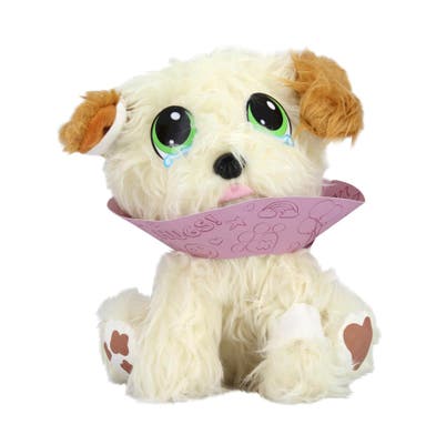 WEBBFYND Rescue Runts, Golden Retriever