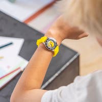 Time Teacher, Pokemon