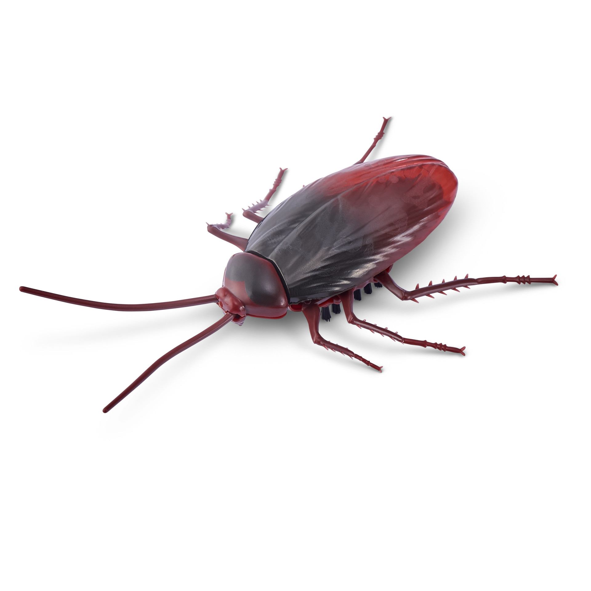 Robo Alive, S2 Cockroach