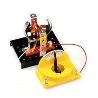 Alga, 101 Experiment