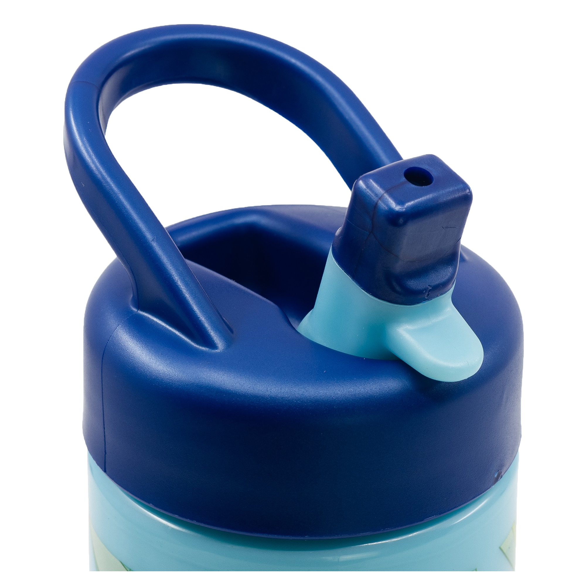 BLUEY Vattenflaska, 410 ml