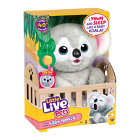 Little Live Pets My Baby Koala Kiki