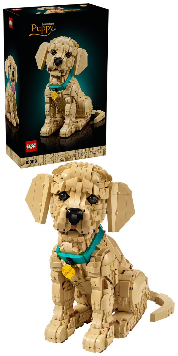 LEGO® Icons Golden retriever-valp – Bygg- och heminredningsset med djurfigur för vuxna – 11384