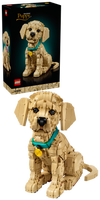LEGO® Icons Golden retriever-valp – Bygg- och heminredningsset med djurfigur för vuxna – 11384