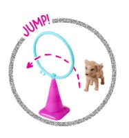 Steffi LOVE Hundtränare