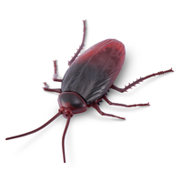 Robo Alive, S2 Cockroach