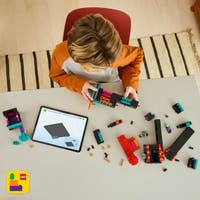 LEGO Minecraft 21279, Endermantornet