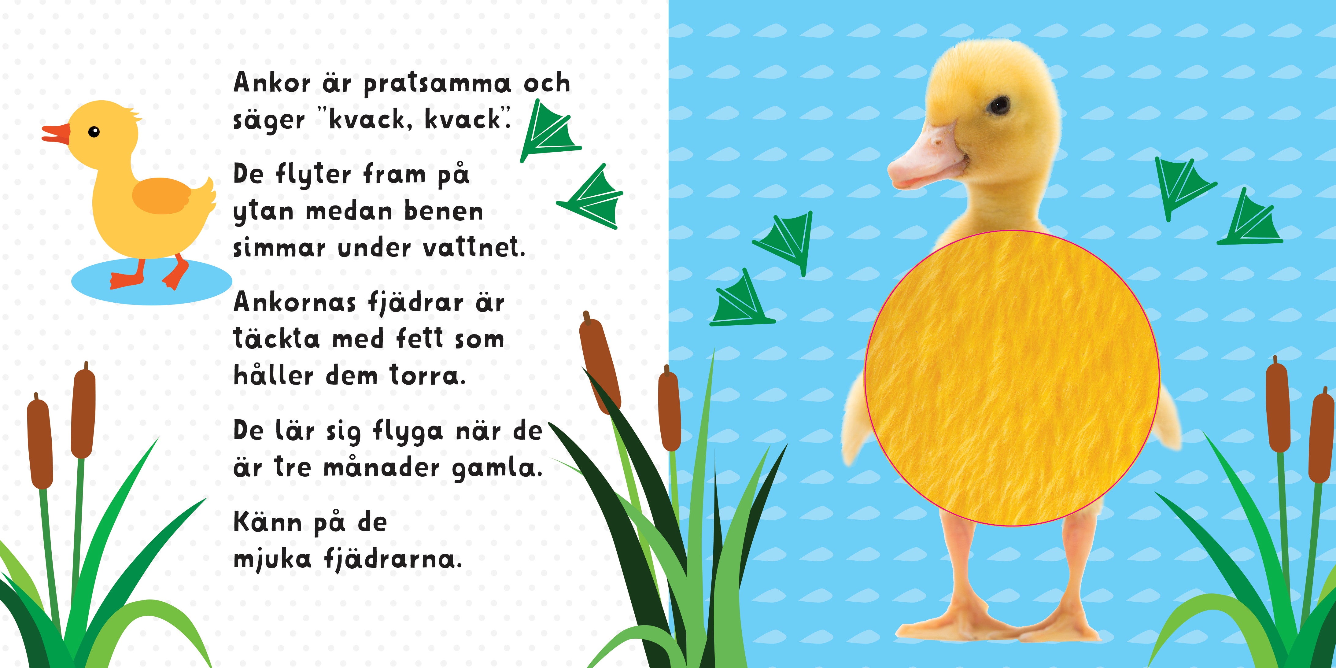 Känn på oss Mjuka djurungar