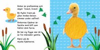 Känn på oss Mjuka djurungar
