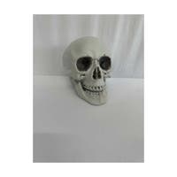 Halloween, Skull With Movable Jaw