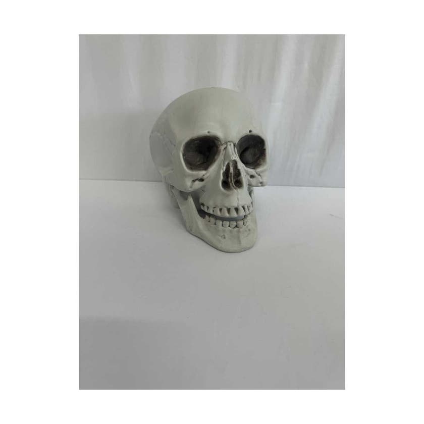 Halloween, Skull With Movable Jaw