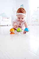 Hape Sea Animals Rattle Set