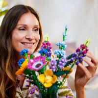 LEGO Botanicals 10313, Bukett med vilda blommor