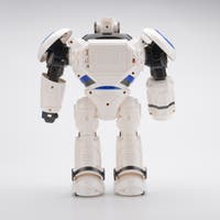 Hi-Tech, Ir Control Big Robot