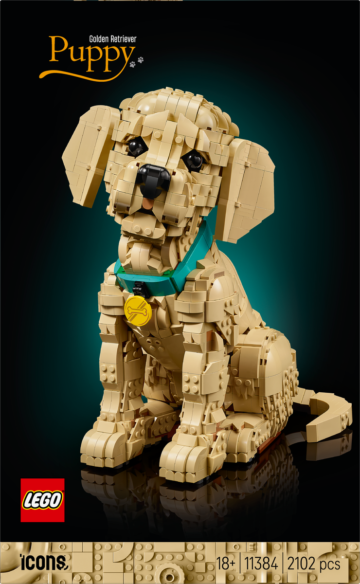 LEGO® Icons Golden retriever-valp – Bygg- och heminredningsset med djurfigur för vuxna – 11384