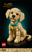 LEGO® Icons Golden retriever-valp – Bygg- och heminredningsset med djurfigur för vuxna – 11384
