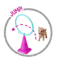 Steffi LOVE Hundtränare