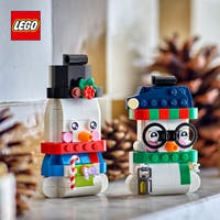 LEGO® Iconic Snógubbar 40812