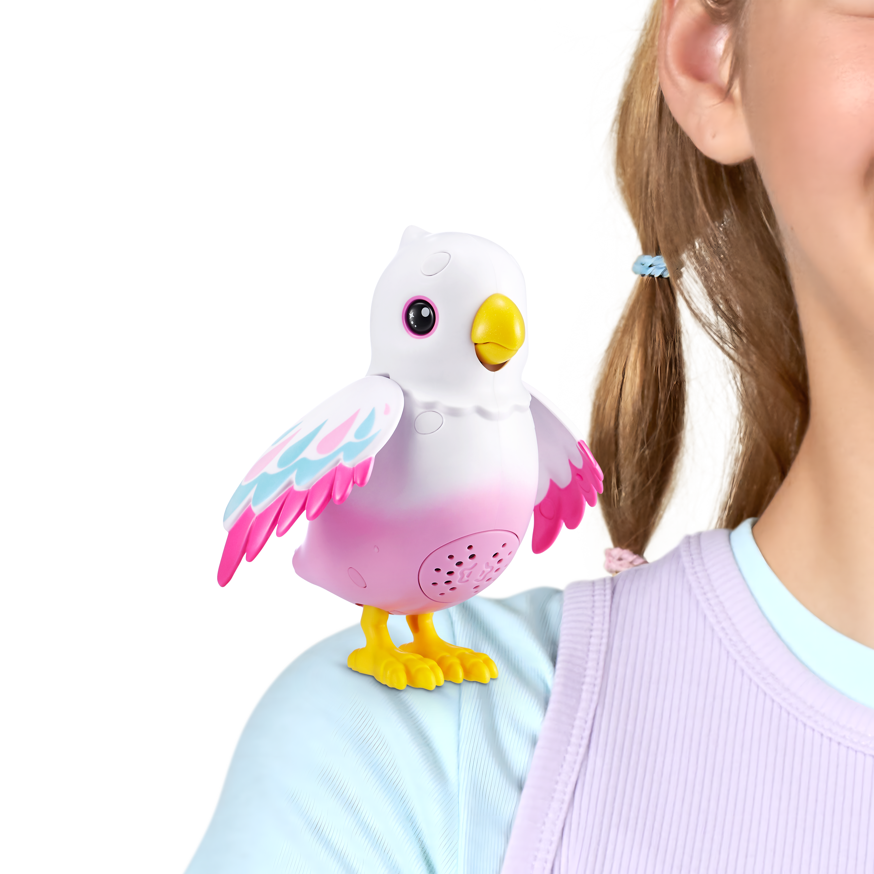 PetsAlive Polly The Surprise Magic Bird S1,Endcap