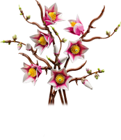 LEGO® Botanicals Magnoliagrenar Blomsterprydnad 11510