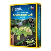 National Geographic, Gecko Dissection Lab