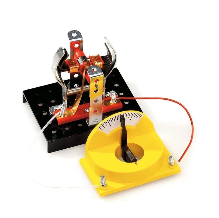 Alga, 101 Experiment