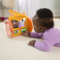 Fisher Price Pets Crawl & Play Spegel