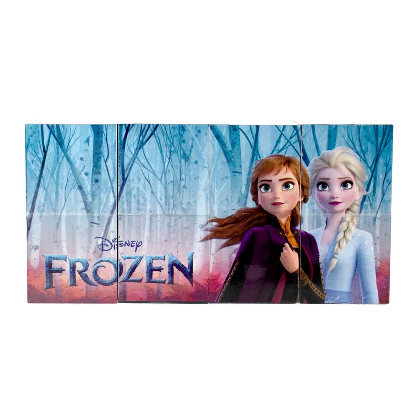 Disney Infinity Cubes, Frozen