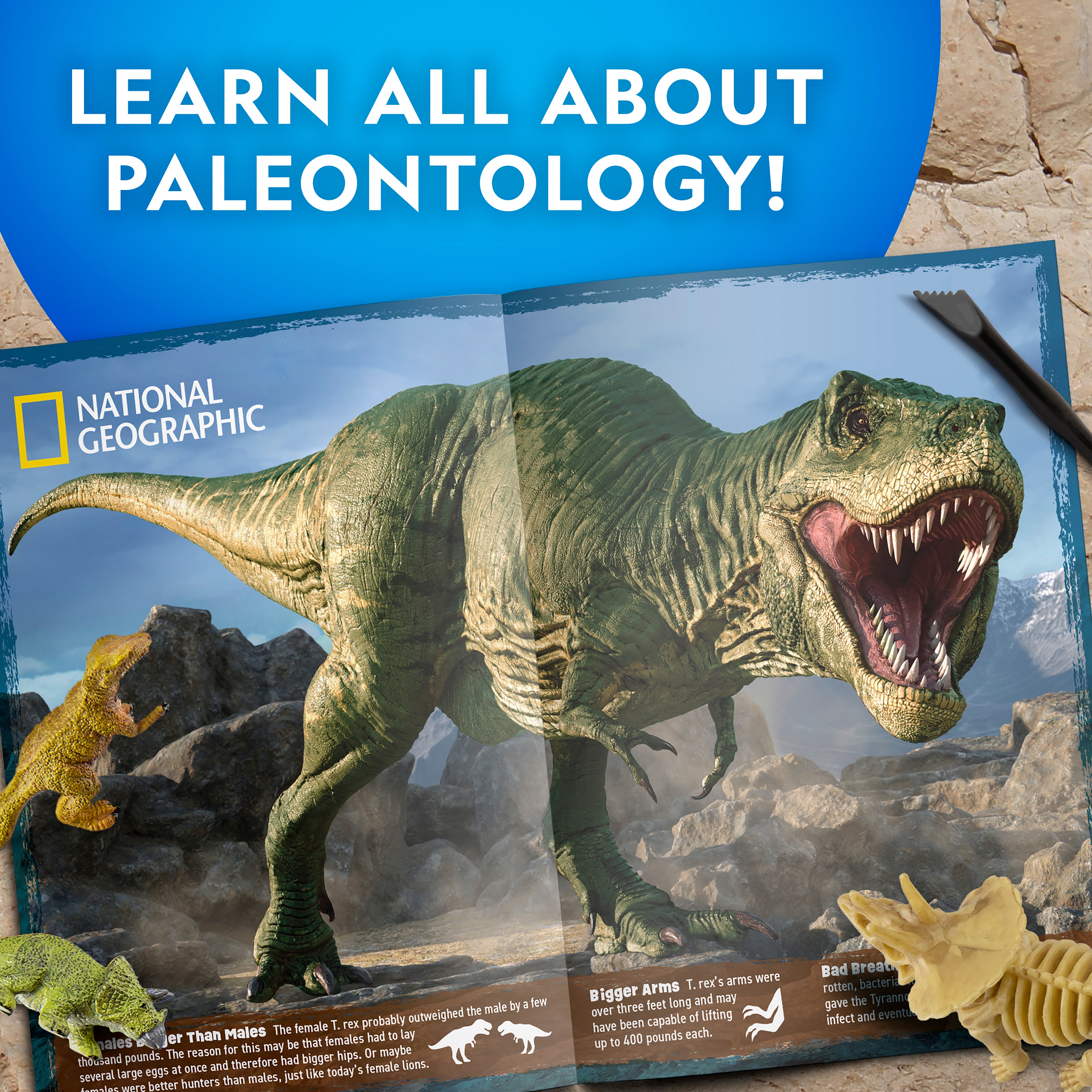 National Geographic Ultimate Dinosaur Dig Kit