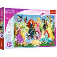 Trefl pussel Charming Princesses 100 bitar