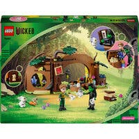 LEGO Wicked 75687, Elphabas retreat