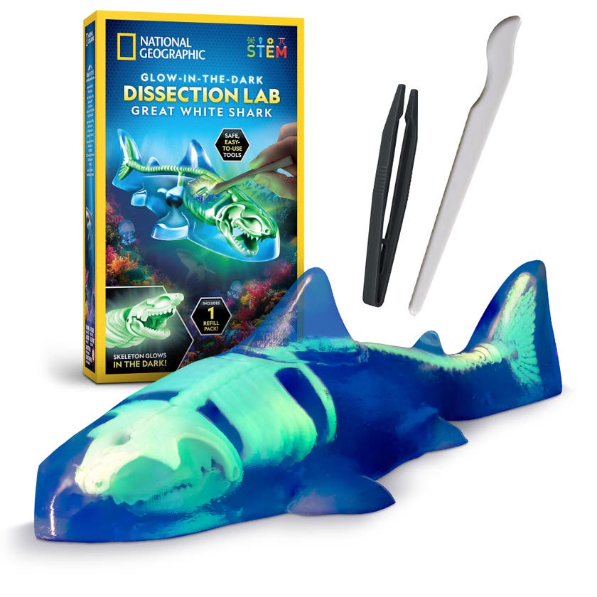 National Geographic Glow-In-The-Dark Shark Lab