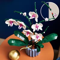 LEGO Botanicals 10311, Orchid