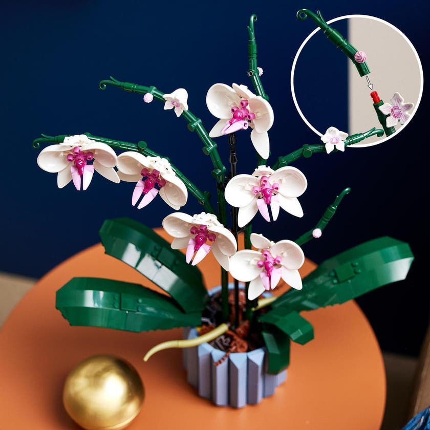 LEGO Botanicals 10311, Orchid