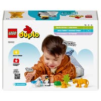 LEGO DUPLO Town 10442, Vilda djurfamiljer: Pingviner och lejon