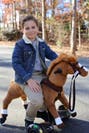 Power Pony Champ Leksaksponny