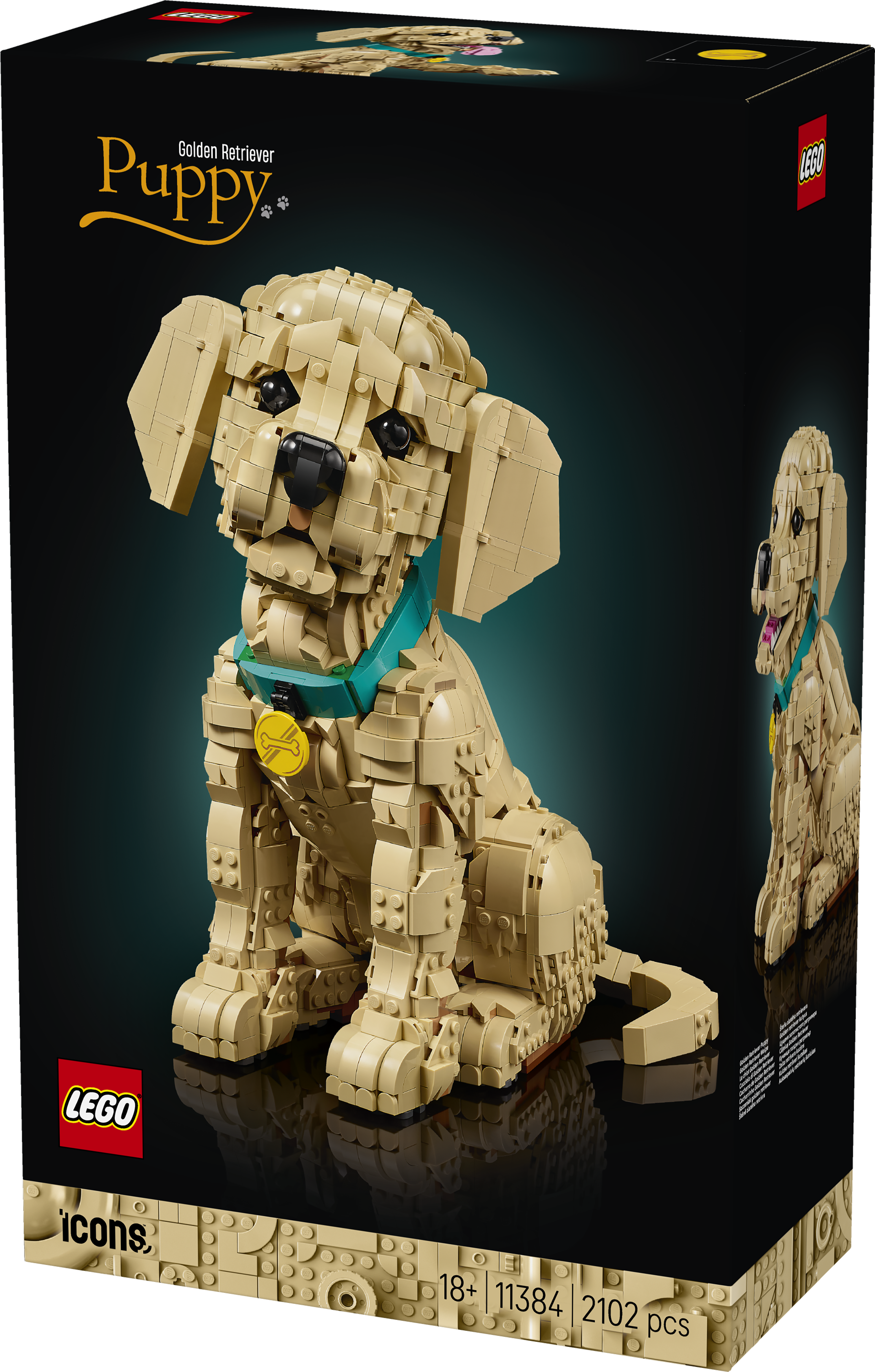 LEGO® Icons Golden retriever-valp – Bygg- och heminredningsset med djurfigur för vuxna – 11384