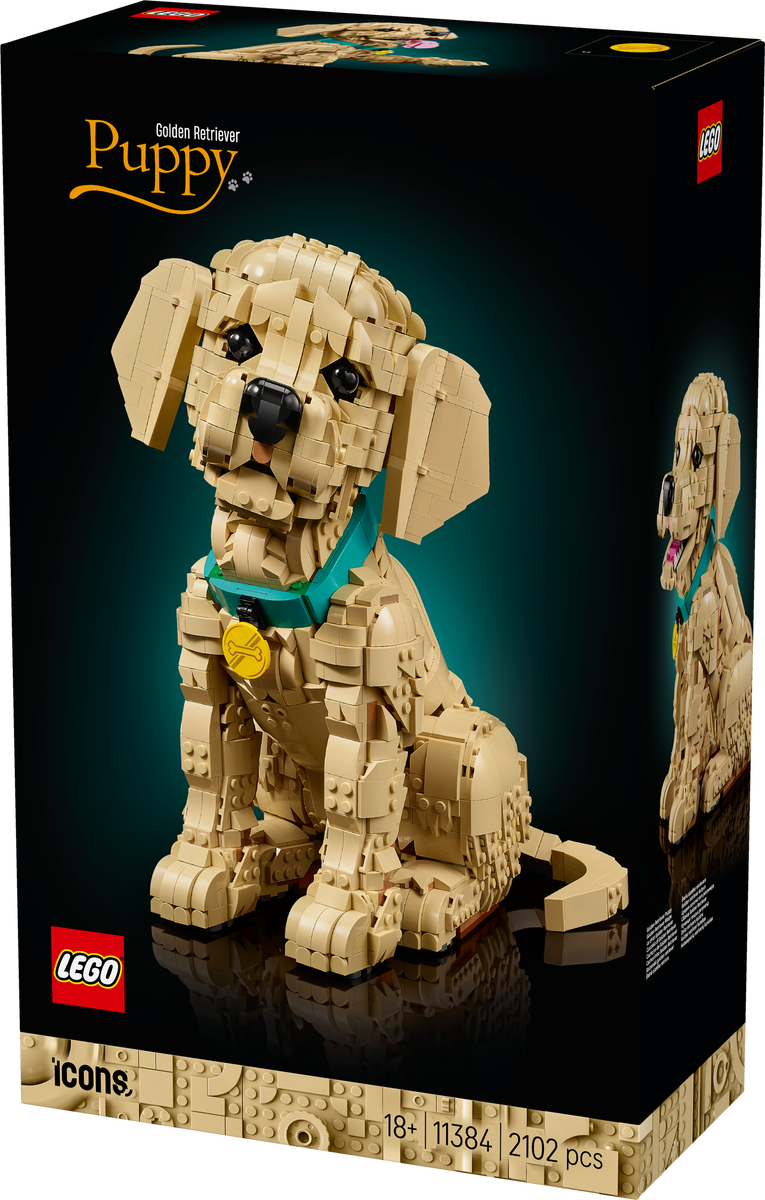 LEGO® Icons Golden retriever-valp – Bygg- och heminredningsset med djurfigur för vuxna – 11384