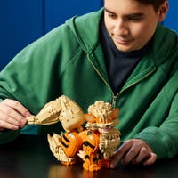 LEGO® Pokémon 72160 Arcanine, Samlarfigur för Vuxna