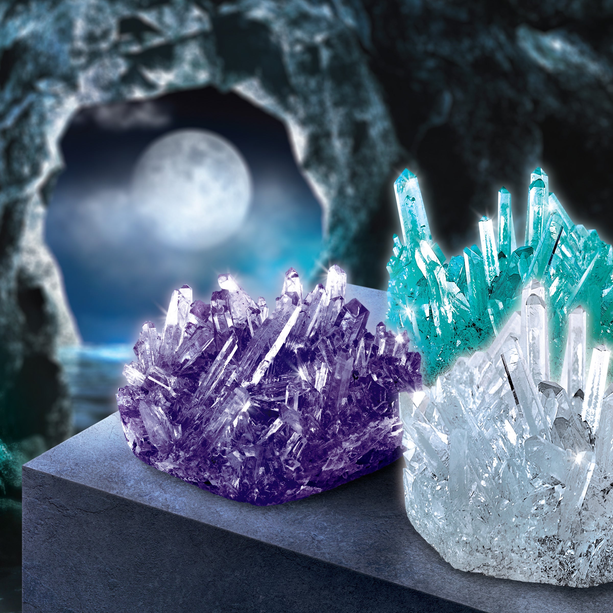 Discovery - Growing kit