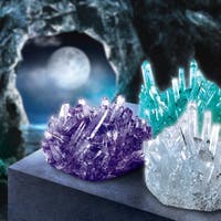 Discovery - Growing kit