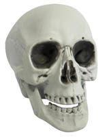 Halloween, Skull With Movable Jaw