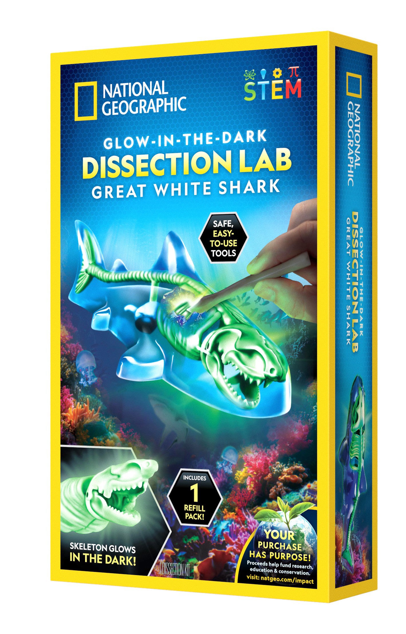 National Geographic Glow-In-The-Dark Shark Lab